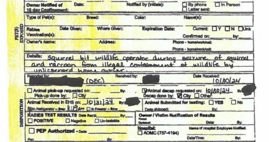 A rabies report documenting the request for a “decap” of Peanut after he bit a wildlife biologist at Mark Longo’s home.