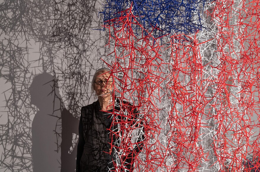 Thousands of painted thorns that make up her Flag IV installation project shadows on White.