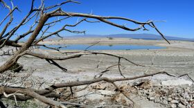 A dead tree frames a former marina inlet on the Salton Sea in Salton City, Calif. A large portion of the lake is expected to dry up in the coming years.