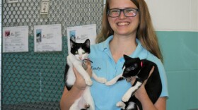 Woman holding kittens