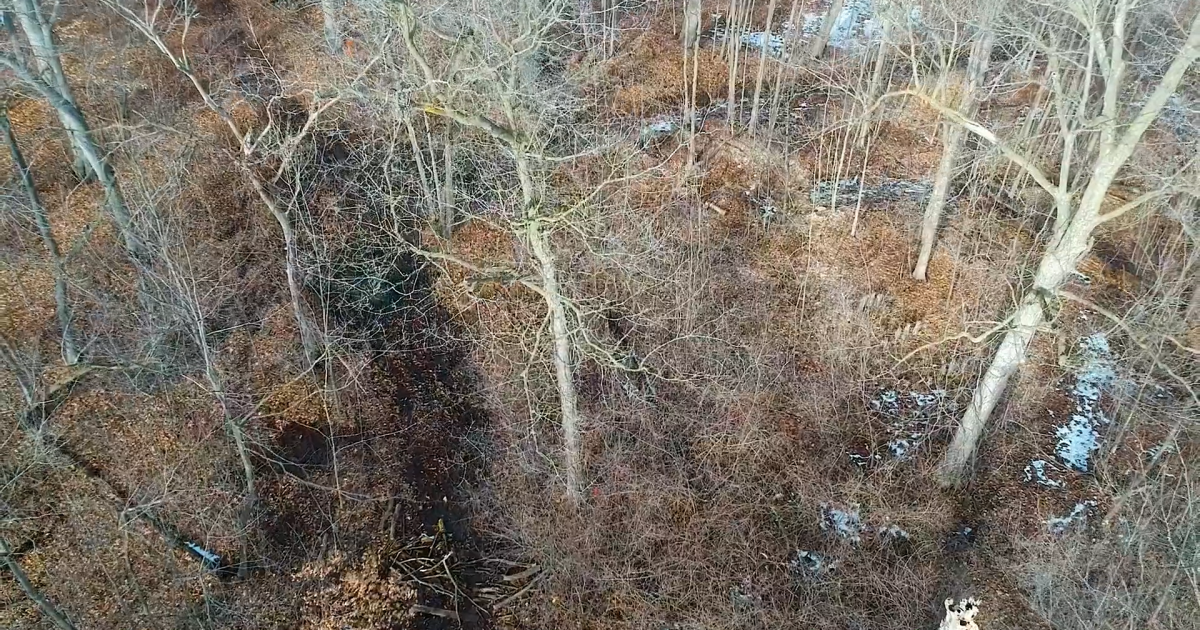 Detroit police apologize after breaking up Native American sugarbush ceremony