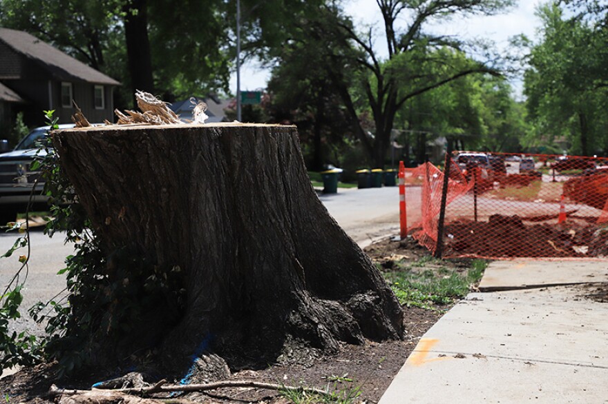 Across Overland Park, more than 130 lane miles of neighborhood streets are at the end of their useful life. Those are all aging asphalt streets that will be redone in concrete, and older trees can get in the way of that.