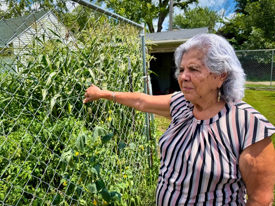 A woman with gray hair wearing a pink and black striped shirt stands next to a metal fence in a backyard.