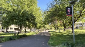 A paved path is surrounded by grass and trees. 