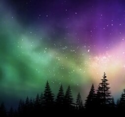 Multicolored northern lights (Aurora borealis) on Canadian forest
