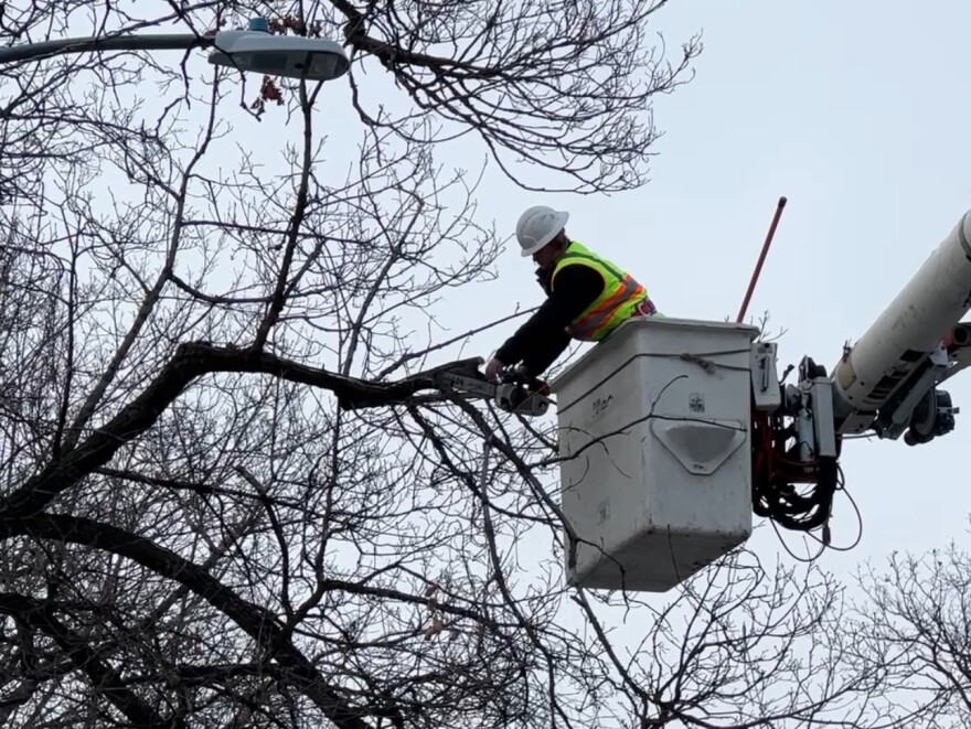 Contractors have been working six days per week since late November to clear Missoula's trees of dangerous loose branches. They're about a third of the way done, according to city officials.
