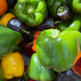 A variety of peppers. (Kathy Gunst/Here & Now)