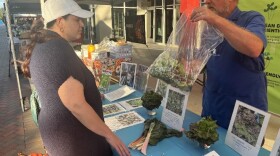 Patrick Gruninger answers questions at Alachua’s San Felasco Market in November 2025. Most farmers truck their produce in from the fields, but Gruninger’s farm sits just several hundred feet away.