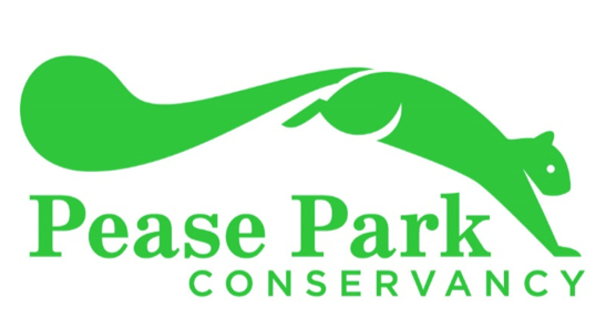 Get Involved Spotlight Pease Park Conservancy KUT Radio, Austin's