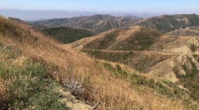 The Harmon Canyon Preserve north of Ventura features miles of trails.