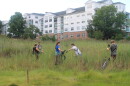 Volunteers with SoundWaters help clean a salt marsh in Boccuzzi Park — Stamford, Conn.