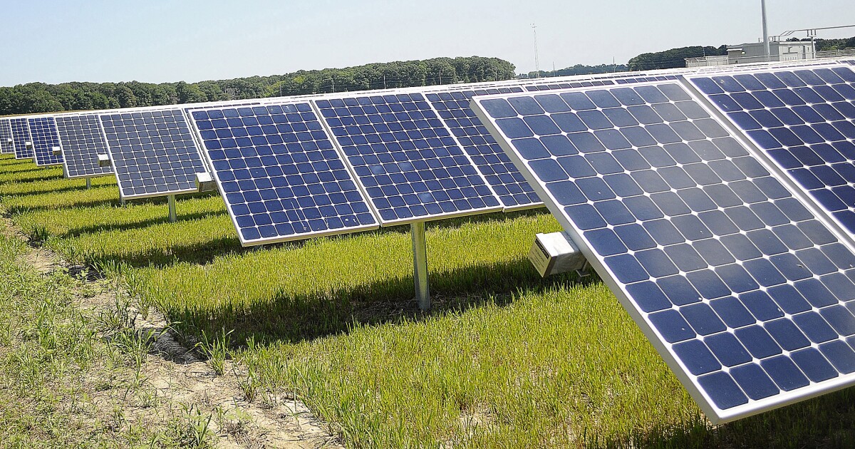 Sussex County solar farm developments might be slowed due to connectivity challenges