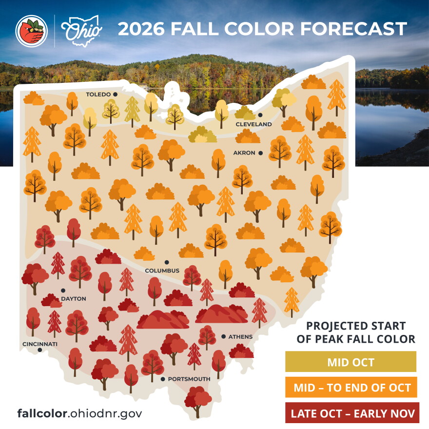 This fall, the ODNR Division of Forestry is expecting color to peak in the far north of Ohio in mid-October, in Central and Northern Ohio in mid-to-late October, and in Southern Ohio at the end of October and beginning of November.