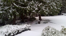 A snowy scene