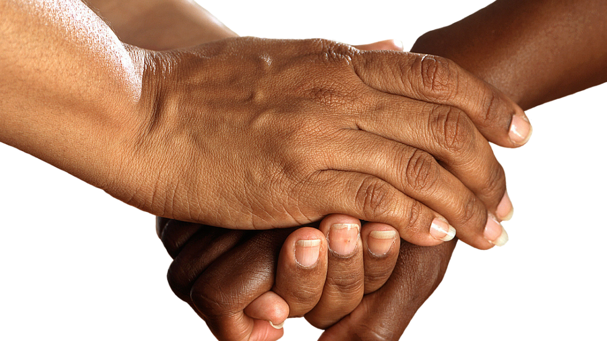 'They're not alone': Charlotte film screening to explore ways to address domestic violence