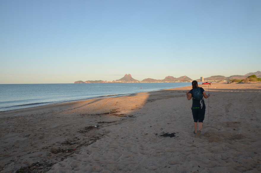 Elsa Coria walks the beach most mornings to look for sea turtle tracks. She fears more visitors to the beach will further endanger the animals' delicate nesting process.