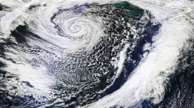 Typhoon Nuri