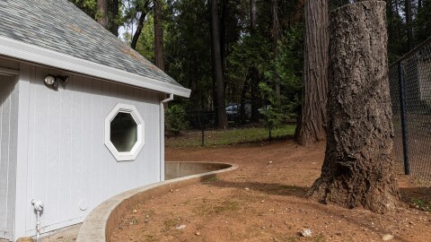 A cement sidewalk built within five feet of Donna Yutzy’s house in Magalia to meet state regulations. Nov. 4, 2023.