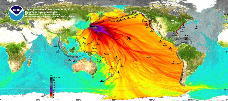 Data from NOAA showing the 2011 tsunami in Japan helped inspire artist Janet Echelman's work.