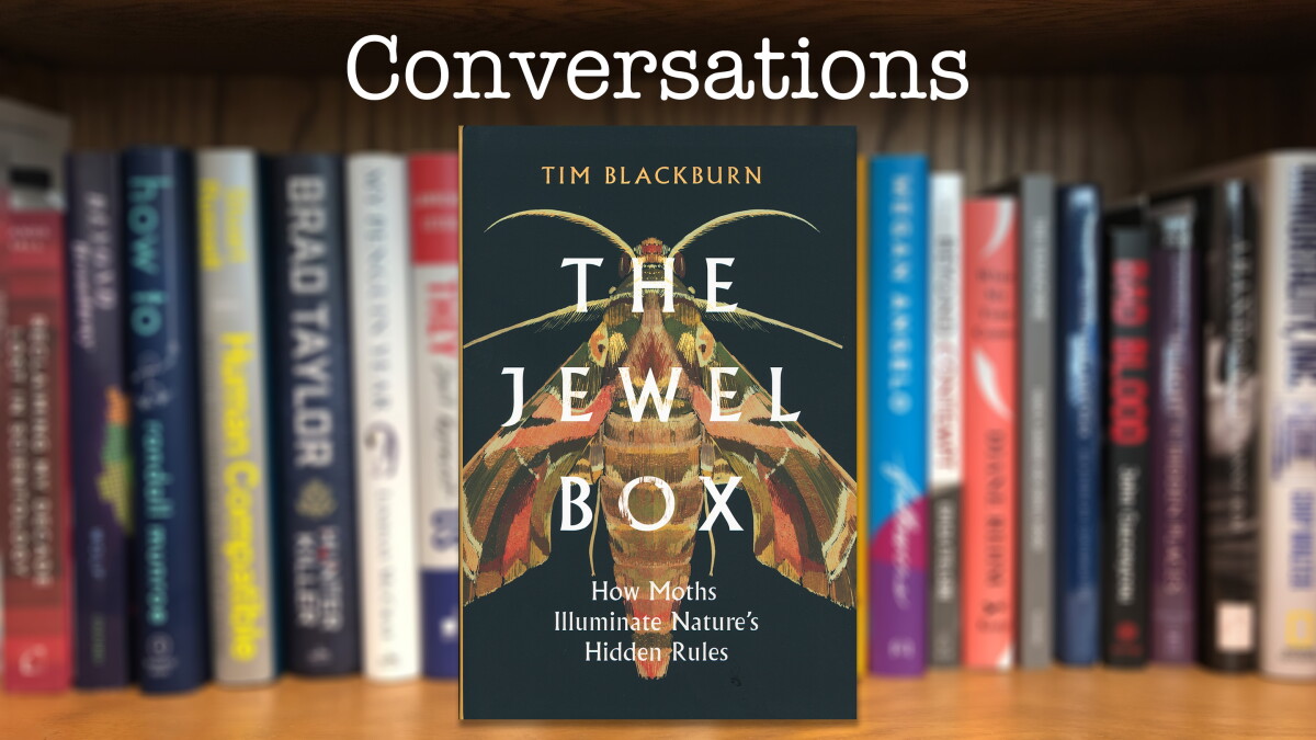 "The Jewel Box: How Moths Illuminate Nature's Hidden Rules" - Vimarsana News