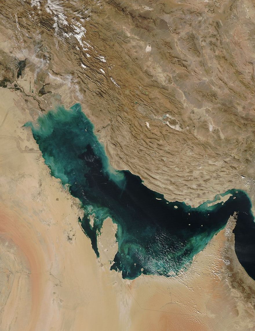 The Persian Gulf from Orbit.