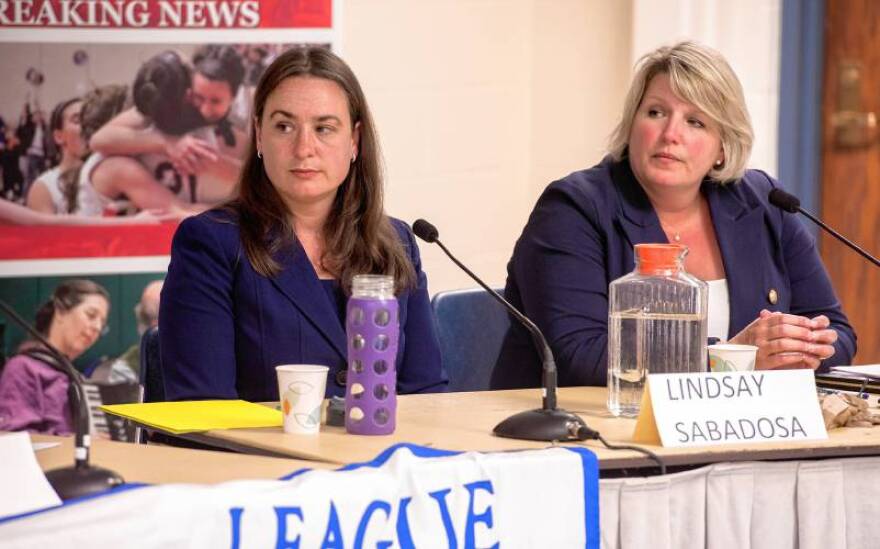 Lindsay Sabadosa (left) and Diana Szynal at a 1st Hampshire House Democratic debate on July 30, 2018, in Northampton, Massachusetts.