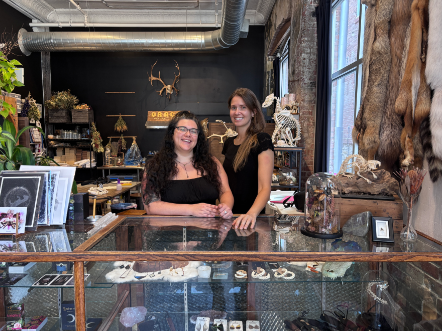 Alessandra Dzuba and Melissa  Chepren pose at the counter of Oracle Natural Science. In the background is the studio. The display case has different curio shop items including jewelry, tarot cards, animal spines and fur pelts. Beside them is the skeleton of an animal on a rock. Fox furs hang on the wall beside them. They have art prints beside them as well. In the back is an air vent with "Oracle" written on it.