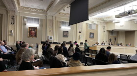 Lexington Council Members Heard From Citizens on Parks Referendum