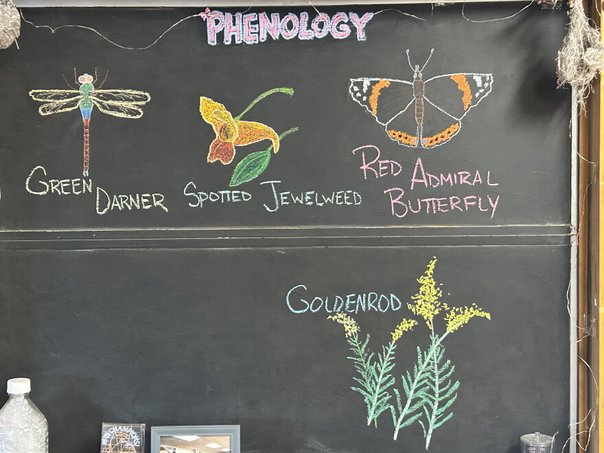 A blackboard shows the phenology topics for Chad Kaddatz's science class at Little Falls Middle School for the week of Nov. 18, 2025.