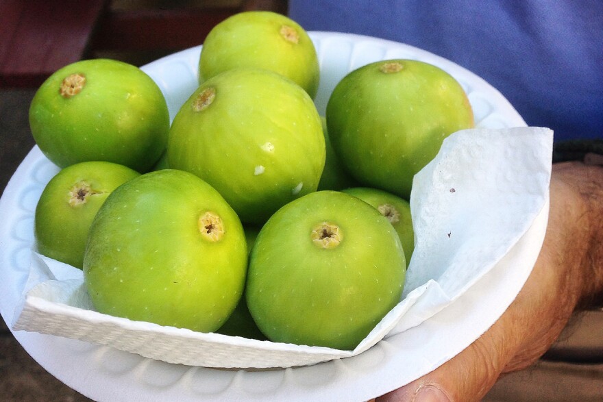 A basket of figs plucked from a tree in Pittsburgh in September.