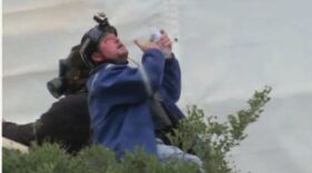 Department of Justice