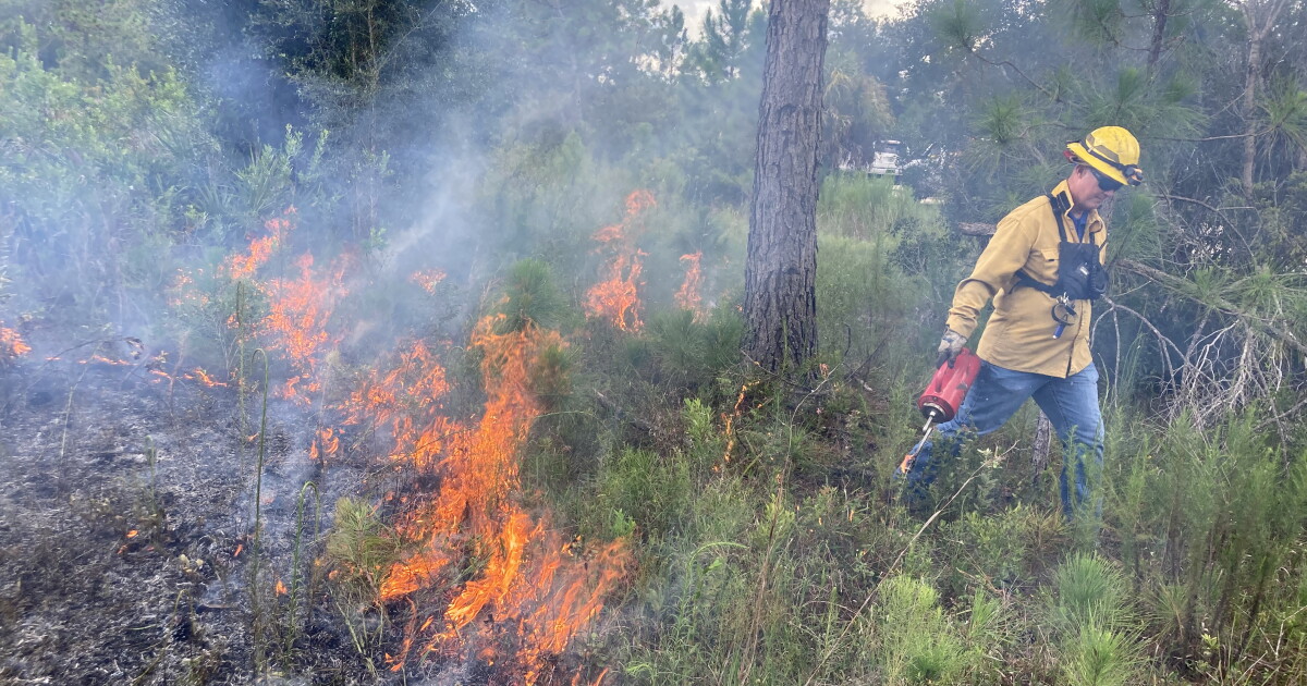 Drought conditions trigger burn ban for Sarasota County | WUSF