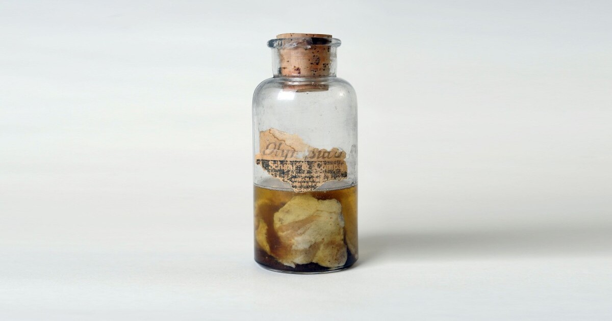 History Brent Taylor on the 1876 Kentucky Meat Shower in Bath