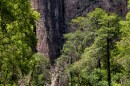 Middle Fork of Gila River, Gila Wilderness