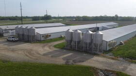 A hog CAFO off Rt. 25 in Tippecanoe County.