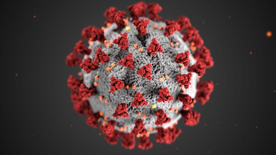 The COVID-19 virus.