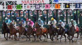 Horse racing in New York state seemed to be turning around.  But like a gambler's run of good luck, it all came down in a crash.