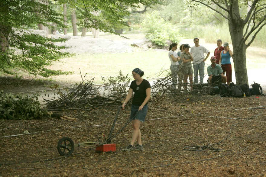 Archaeologists use ground-penetrating radar to survey the former site of Seneca Village in Central Park in 2005. The site was later excavated for artifacts in 2011.