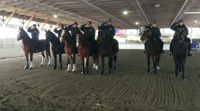 Seven members of the Worcester police force trained to join the new mounted unit.