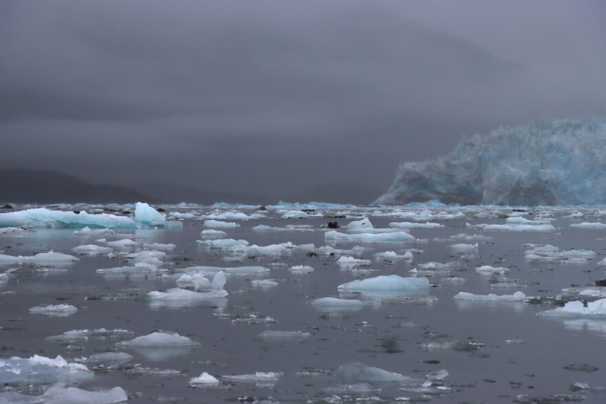 Yakutat’s Disenchantment Bay is ringed by glaciers including the Valerie, Turner and Hubbard.