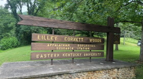 The entrance to Lilley Cornett Woods in Letcher County