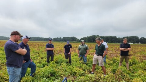 Eight white men stand in a potato field looking down at the ground, mostly green bushes with a few potatoes that have been dug up in the center.