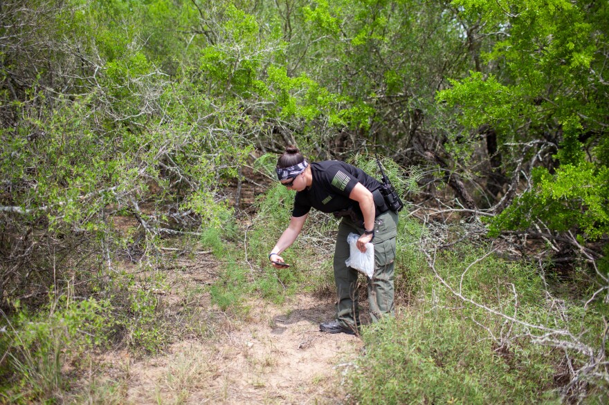 Sheriff's Deputy Bianca Mora recovers remains found by the Border Patrol on a private ranch in Brooks County, Texas. This is the ninth set of human remains the county's sheriff's office has recovered this year.