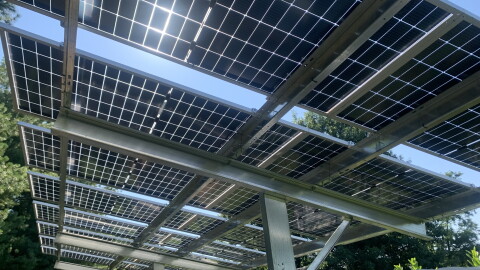A worm's eye view of solar panels. The sun is peaking through, creating a flare, in between two sets of panels. You can tell by greenery around the image that the panels are in a lush agriculture environment. 