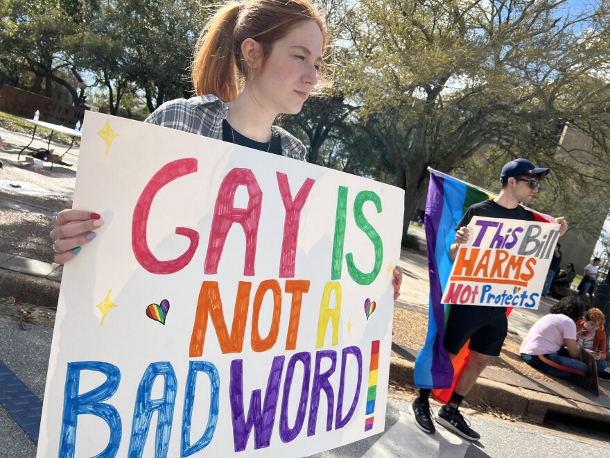 A few dozen people on Wednesday stood outside the Escambia County Courthouse to protest the 'Don't Say Gay' bill. 
