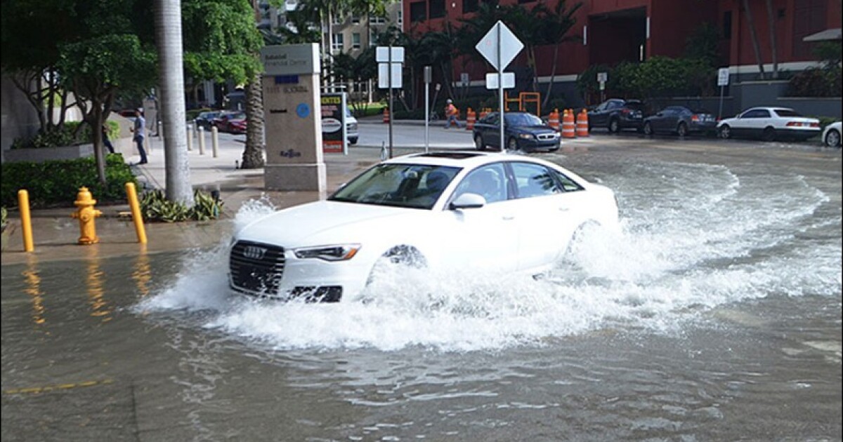 $1 million study seeks natural defenses against rising seas' saltwater intrusion, flooding
