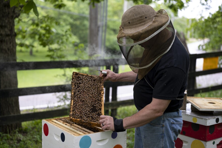 "As a beekeeper, social distancing is usually kind of natural," said Allred, explaining that the protective bee veil and smoker keep curious onlookers from approaching him.