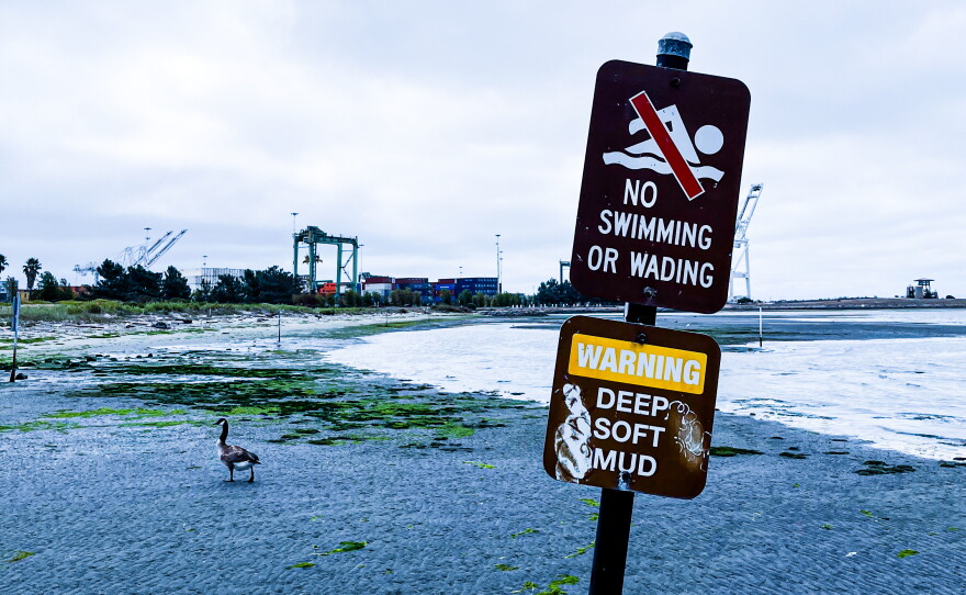 The beach at Middle Harbor Shoreline Park that Maria BC visited frequently while writing Marathon.