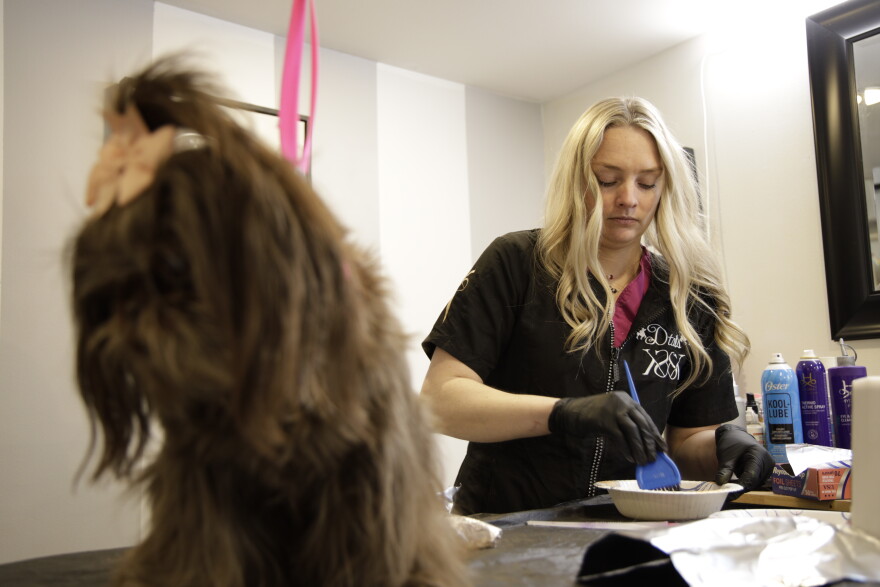 Karissa Surprenant of Dtails using pet-safe dye to color a dog's tail