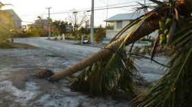 FEMA will offer some housing assistance, but otherwise families would need to move back to Puerto Rico to get the benefits from most of the other programs. 